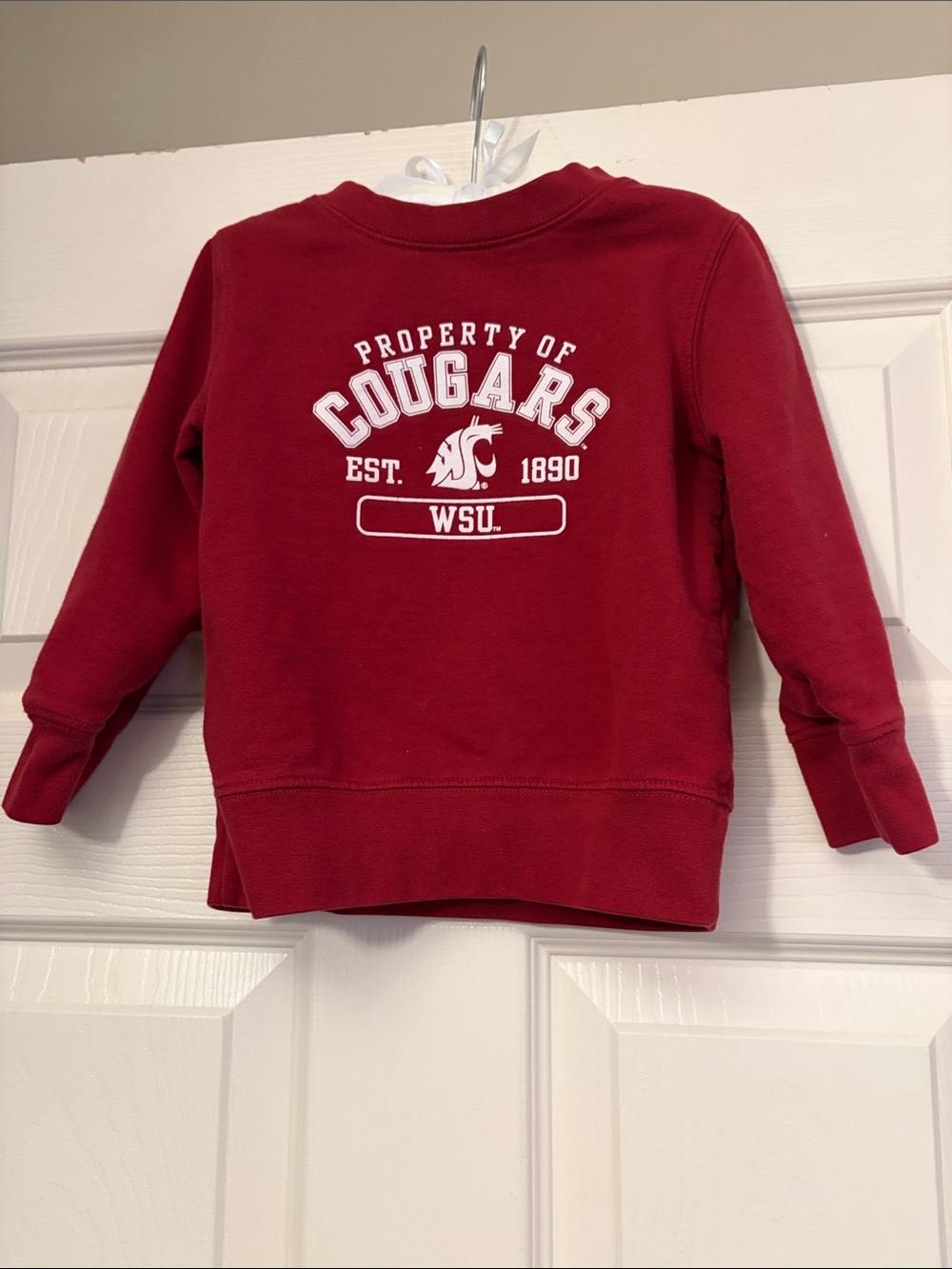 Russell Athletic Red Cougars Kids Sweatshirt